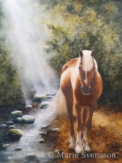 Horse Spirit